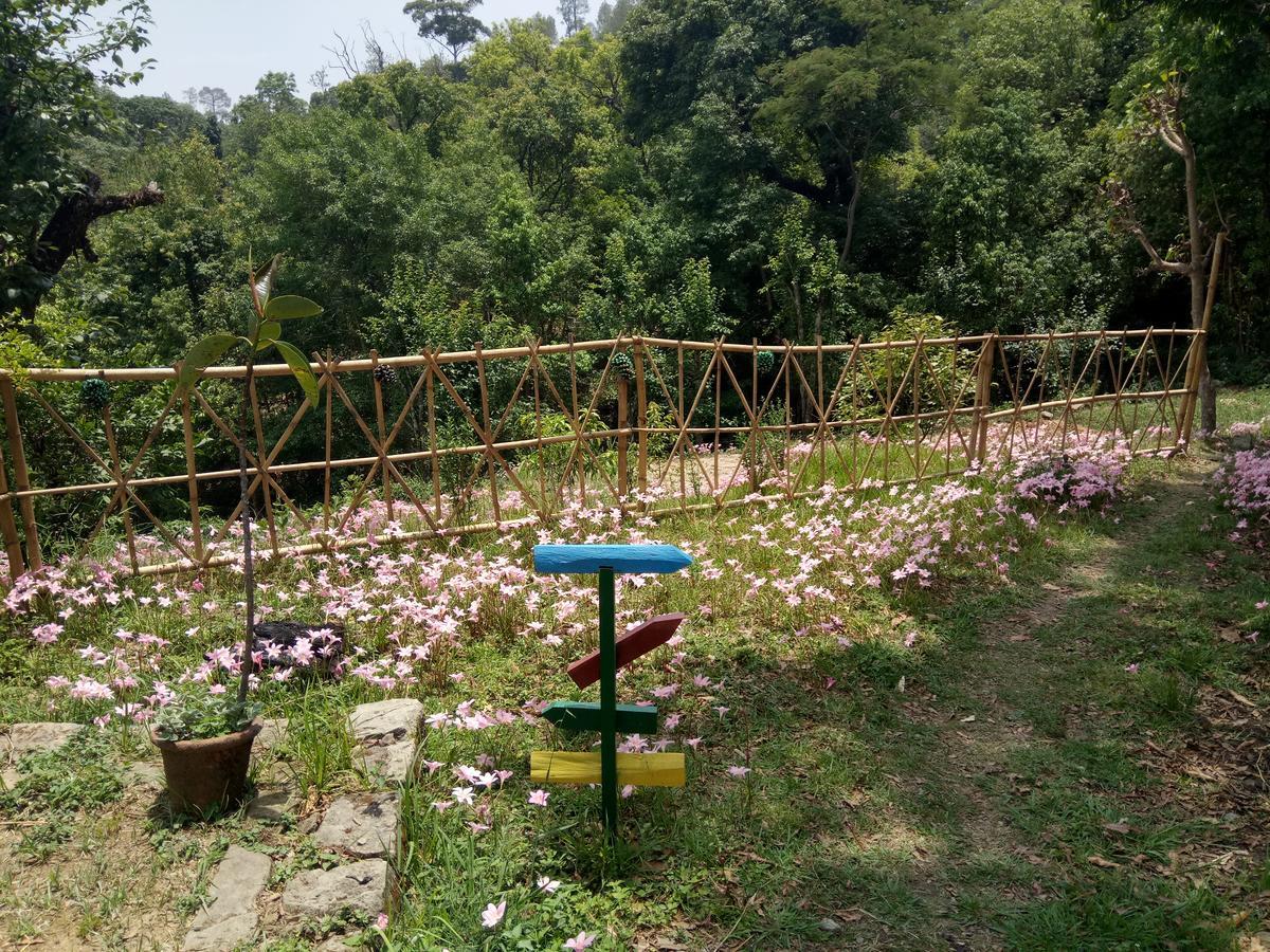 Hots Nainital Patwa Dunga Exterior photo