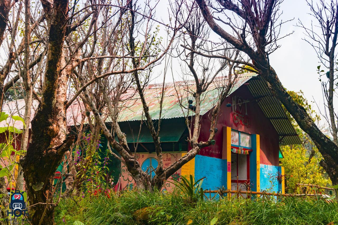 Hots Nainital Patwa Dunga Exterior photo